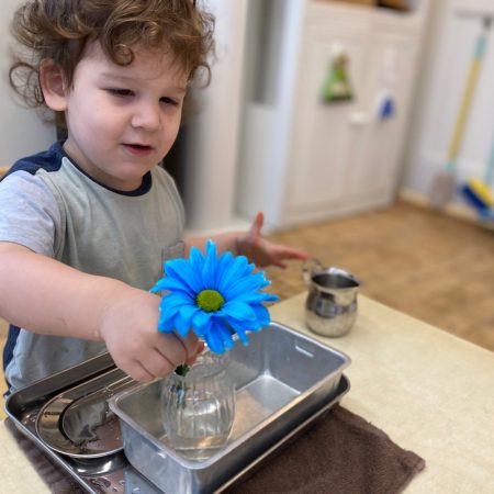 Gladwyne Montessori