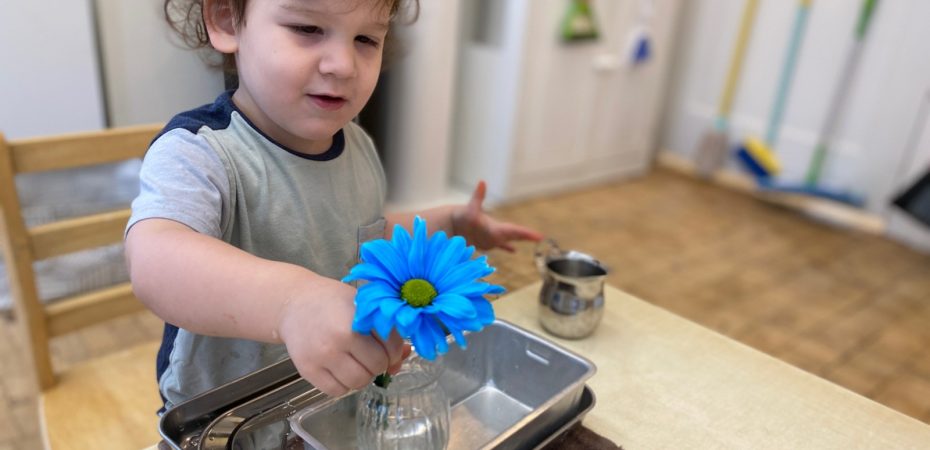 Gladwyne Montessori